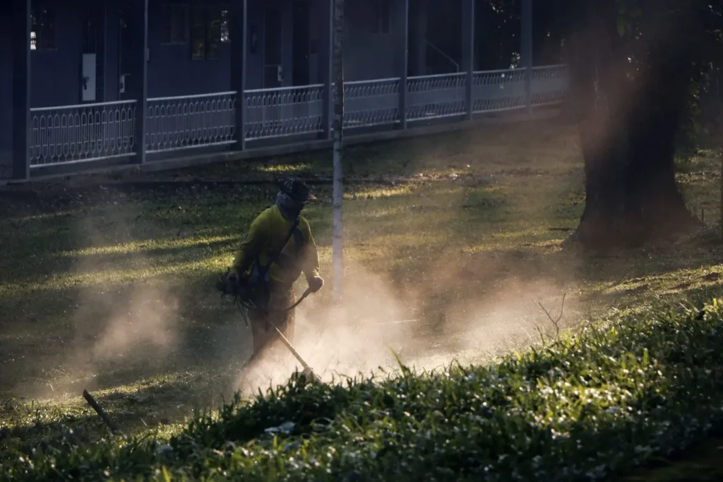 Lawn work in early light