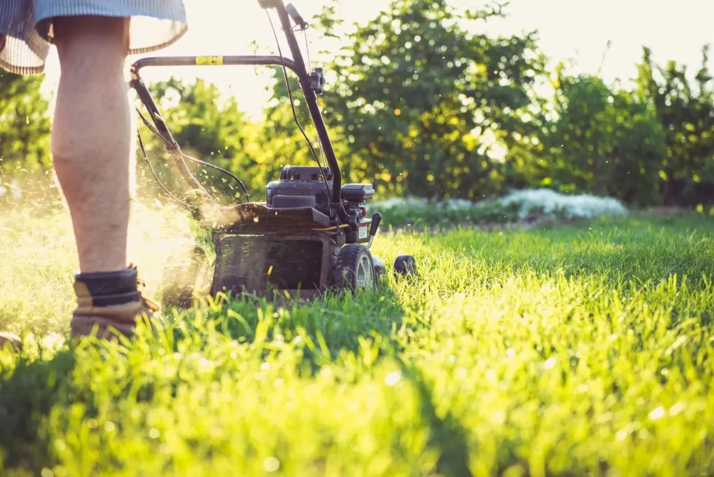 Mowing a lawn at sunset