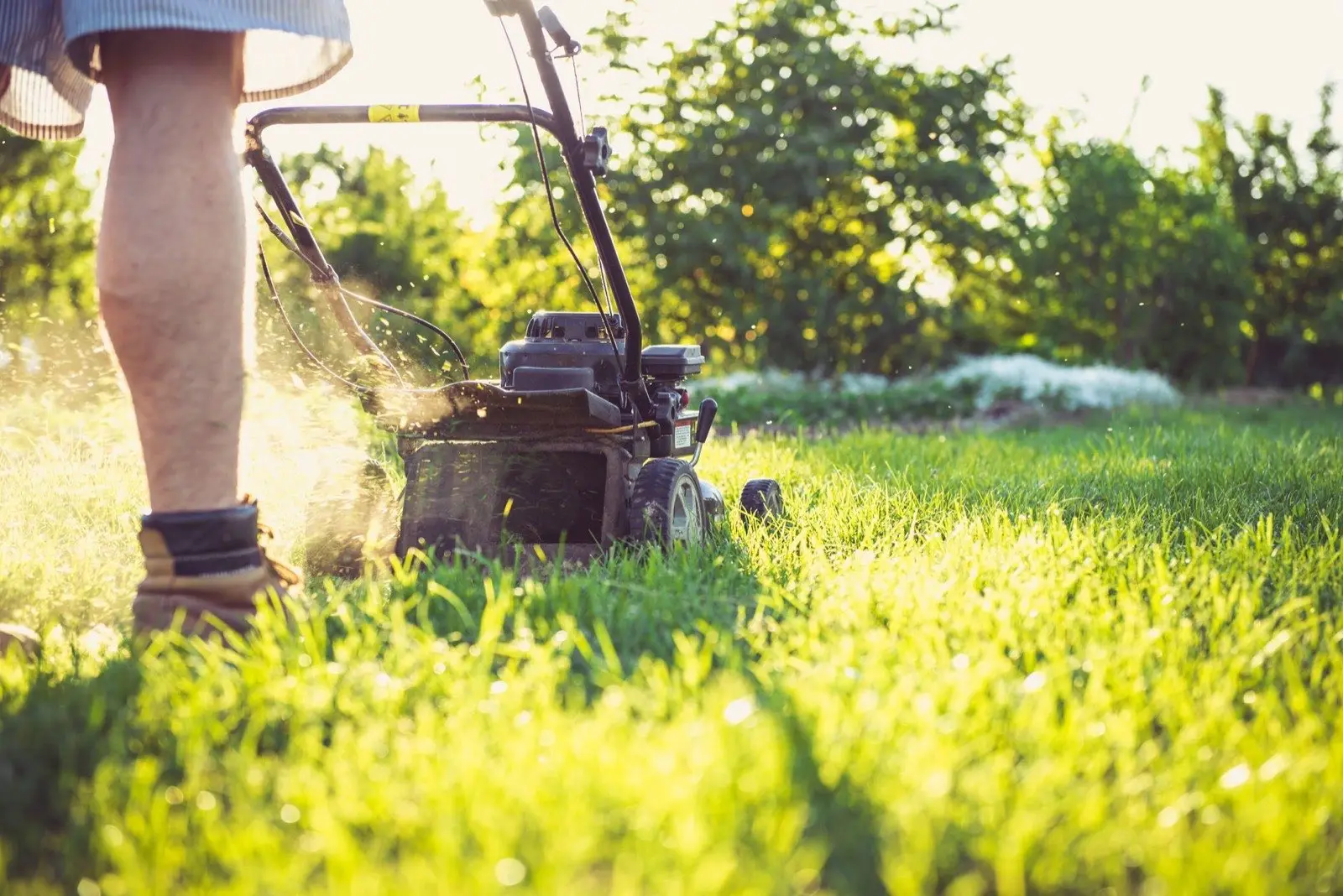 Mowing a lawn at sunset