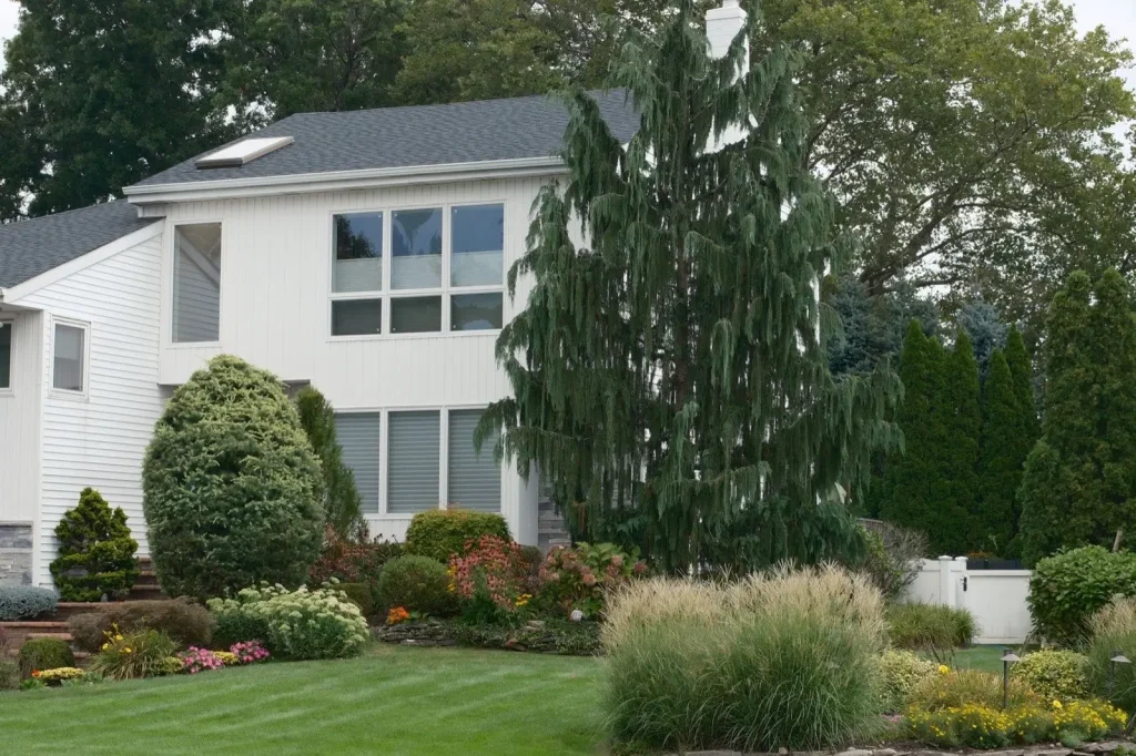 Foundation plantings