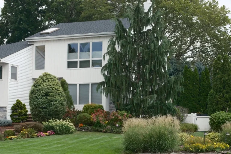 Foundation plantings