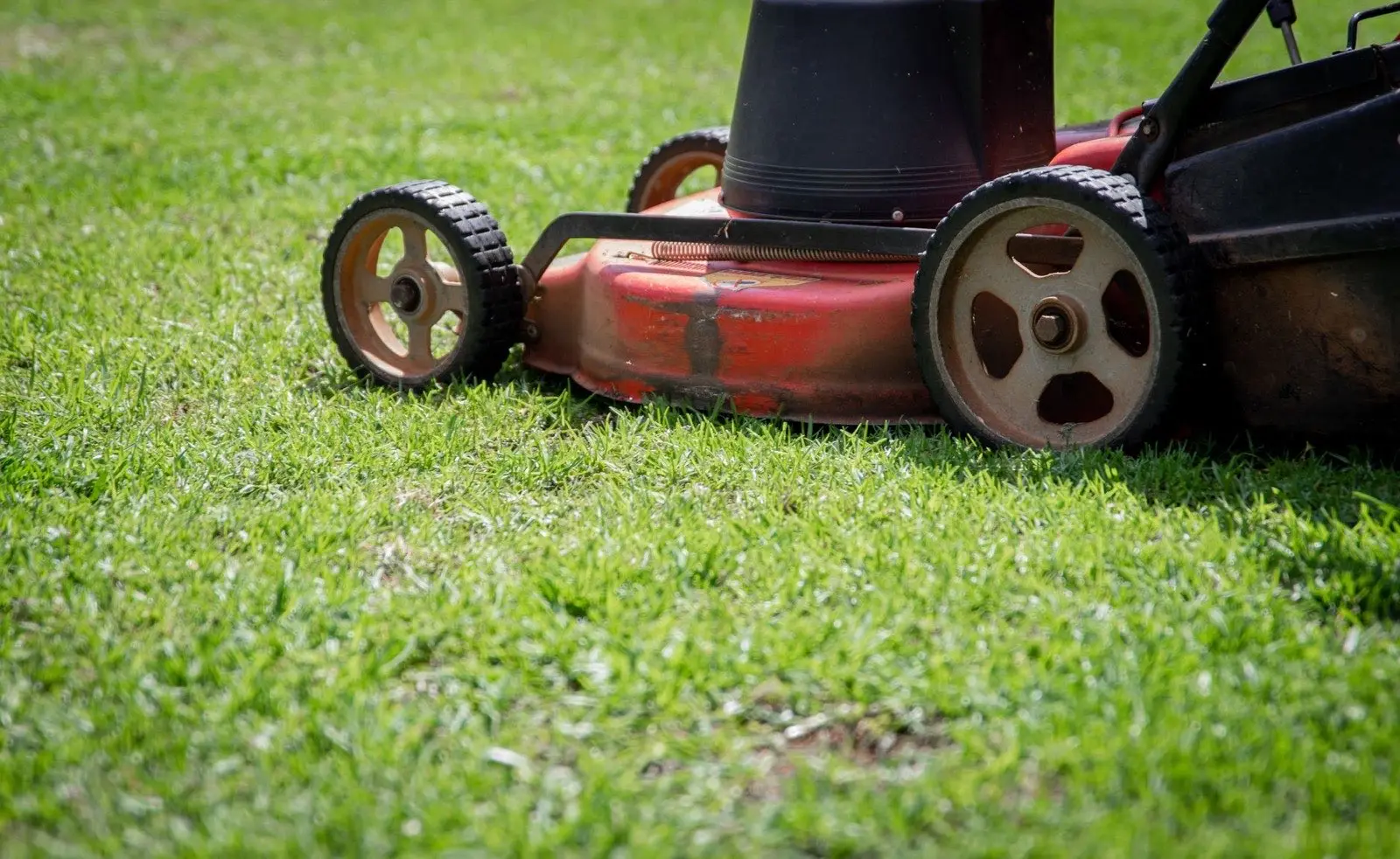 Red mower on a freshly cut lawn
